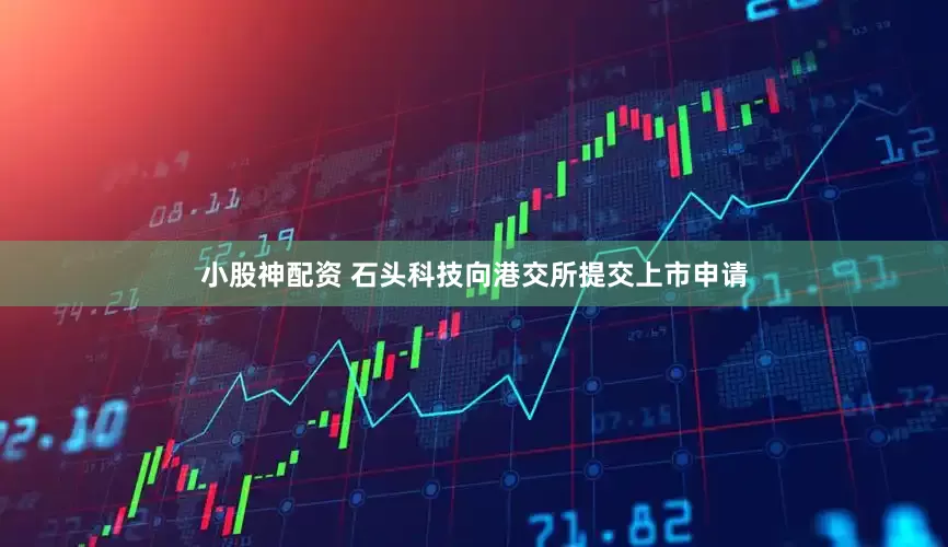 小股神配资 石头科技向港交所提交上市申请