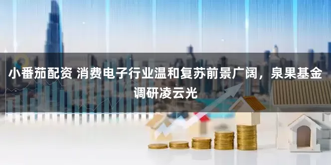 小番茄配资 消费电子行业温和复苏前景广阔，泉果基金调研凌云光