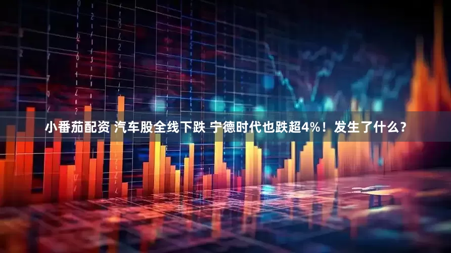 小番茄配资 汽车股全线下跌 宁德时代也跌超4%！发生了什么？