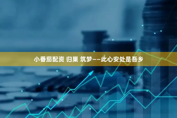 小番茄配资 归巢 筑梦——此心安处是吾乡